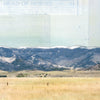 Wild on the Ranch, 12" x 36" Framed