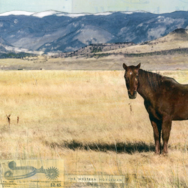 Wild on the Ranch, 12" x 36" Framed