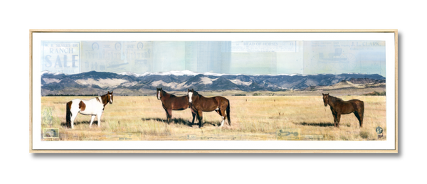 Wild on the Ranch, 12" x 36" Framed